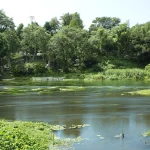 ¿Cuál es un río de Japón, Kulito o Kakita? Cual Es Un Rio De Japon Kulito O Kakita