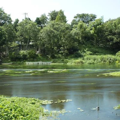 Cual Es Un Rio De Japon Kulito O Kakita